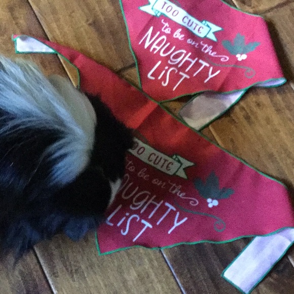 Dog bandanas holiday puppy lodge Christmas photo pet portraits - Picture 4 of 4